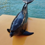 1725254438057 (1).jpg